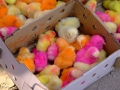 Colored-Chickens-in-Pakistan