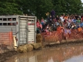 Pig wrestling at Valmy Thrasheree WI